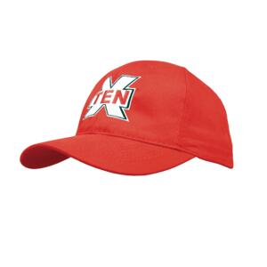 HP BRUSHD COT 6 PNL CP Miniaturansicht