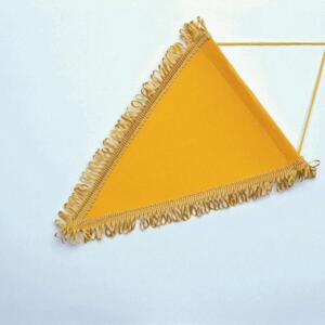 PENNANT TRIANGULAR (10 PACK) Miniaturansicht
