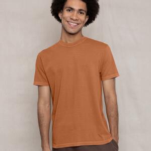 ATC AUTHENTIC COLOURS™ GARMENT-DYED HEAVYWEIGHT T-SHIRT Miniaturansicht