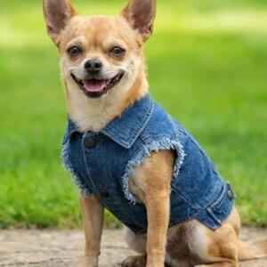 Dog’s denim jacket Miniaturansicht