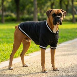 Dog’s varsity jacket Miniaturansicht