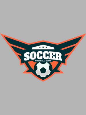 Soccer football club logo template