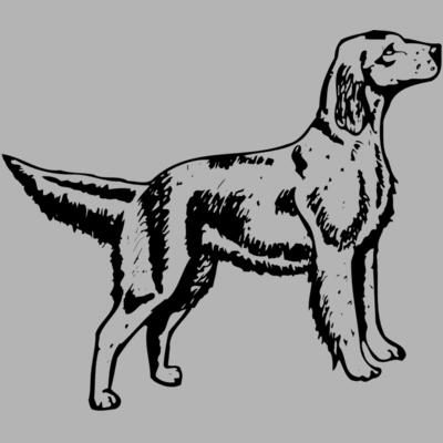 DC0004 Miniaturansicht