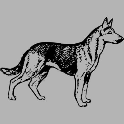 DC0019 Miniaturansicht