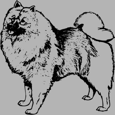 DC0037 Miniaturansicht