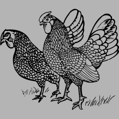 CHICK007 Miniaturansicht