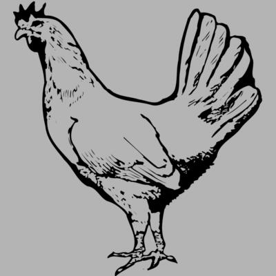 CHICK012 Miniaturansicht