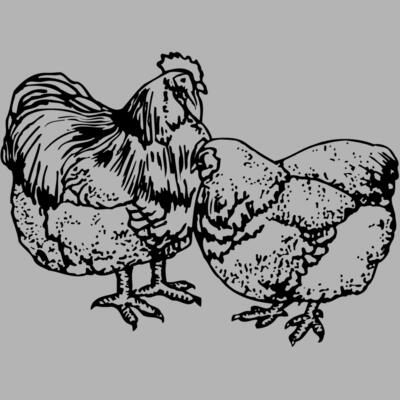 CHICK018 Miniaturansicht