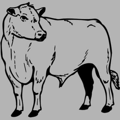 COW013 Miniaturansicht