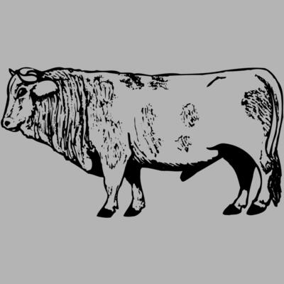 COW014 Miniaturansicht