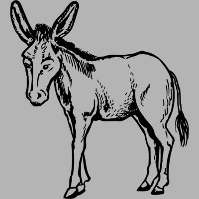 BURRO001 Miniaturansicht