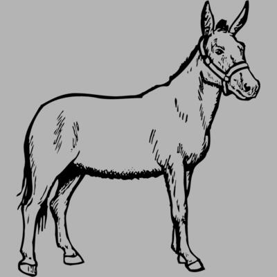 BURRO002 Miniaturansicht