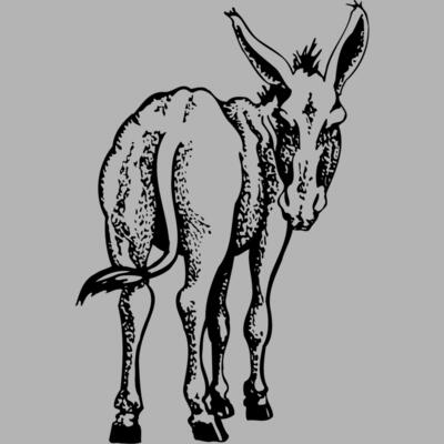 BURRO003 Miniaturansicht