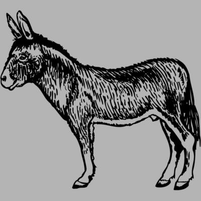 BURRO004 Miniaturansicht