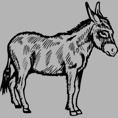 BURRO006 Miniaturansicht