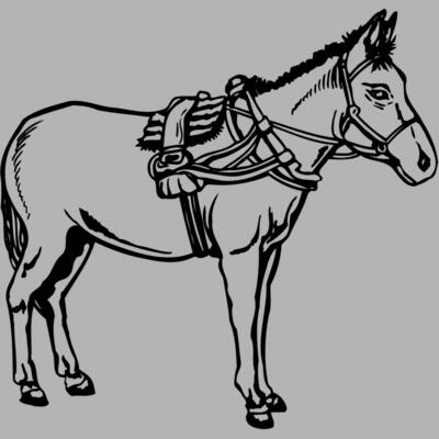 BURRO007 Miniaturansicht