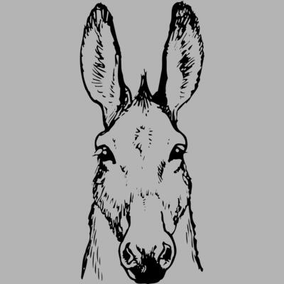 BURRO008 Miniaturansicht