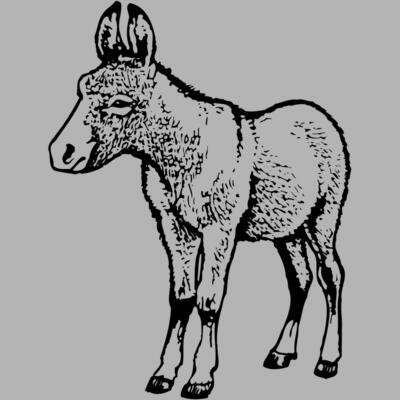 BURRO009 Miniaturansicht