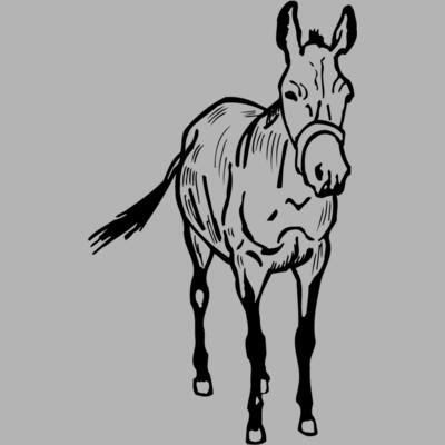 BURRO010 Miniaturansicht