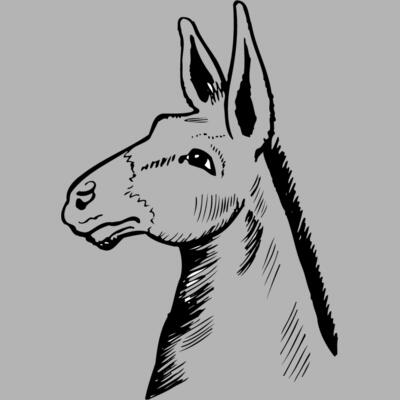 BURRO014 Miniaturansicht