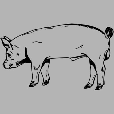 HOG0006 Miniaturansicht