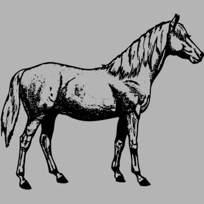HORSE013 Miniaturansicht