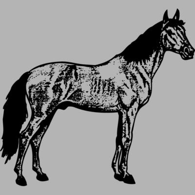 HORSE014 Miniaturansicht
