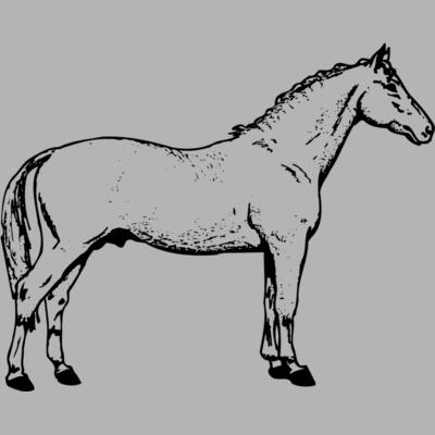 HORSE019 Miniaturansicht