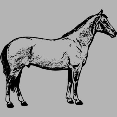 HORSE020 Miniaturansicht