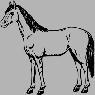 HORSE021 Miniaturansicht