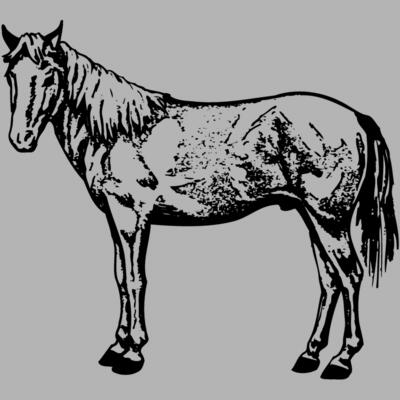 HORSE022 Miniaturansicht