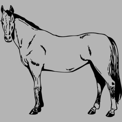 HORSE025 Miniaturansicht