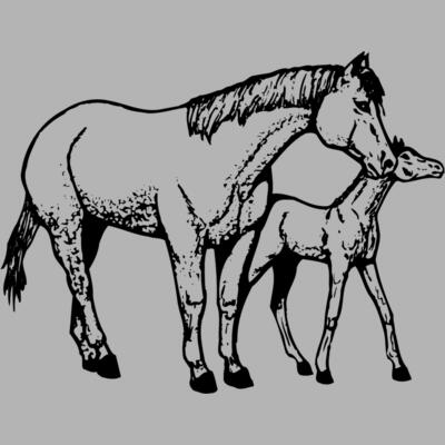 HORSE039 Miniaturansicht