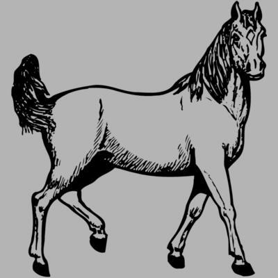 HORSE041 Miniaturansicht