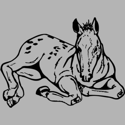 HORSE042 Miniaturansicht