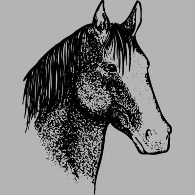 HORSE046 Miniaturansicht