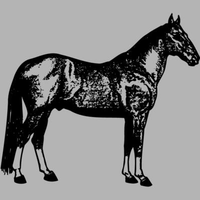 HORSE054 Miniaturansicht