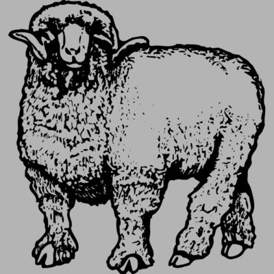 SHEEP001 Miniaturansicht