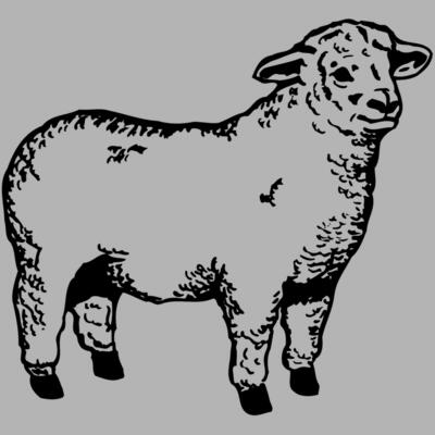 SHEEP003 Miniaturansicht