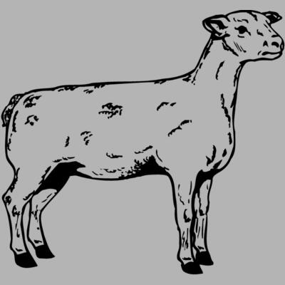 SHEEP005 Miniaturansicht