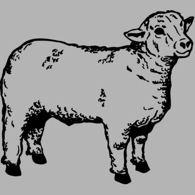 SHEEP006 Miniaturansicht