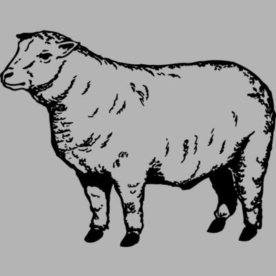 SHEEP007 Miniaturansicht