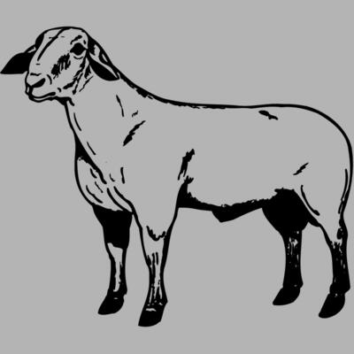 SHEEP008 Miniaturansicht