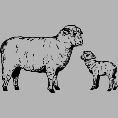 SHEEP010 Miniaturansicht