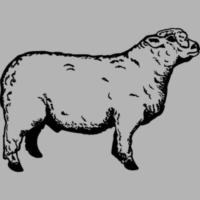 SHEEP011 Miniaturansicht