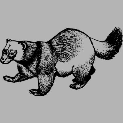 BADGER02 Miniaturansicht