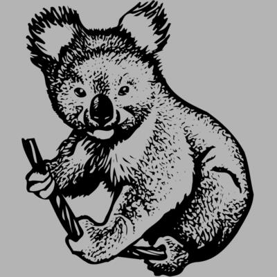 BEAR007 Miniaturansicht