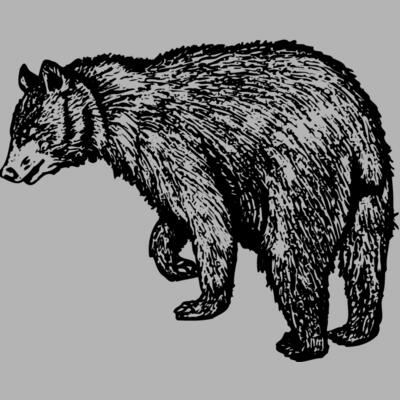 BEAR011 Miniaturansicht