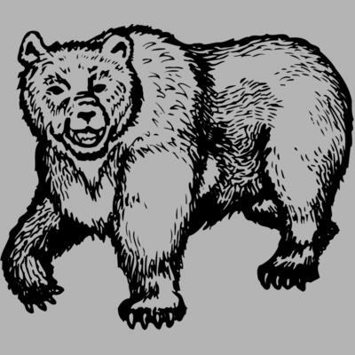 BEAR015 Miniaturansicht