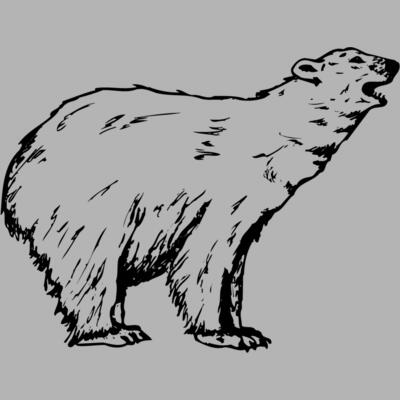 BEAR016 Miniaturansicht